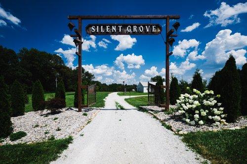 mobile - carousel-hero-element image-8