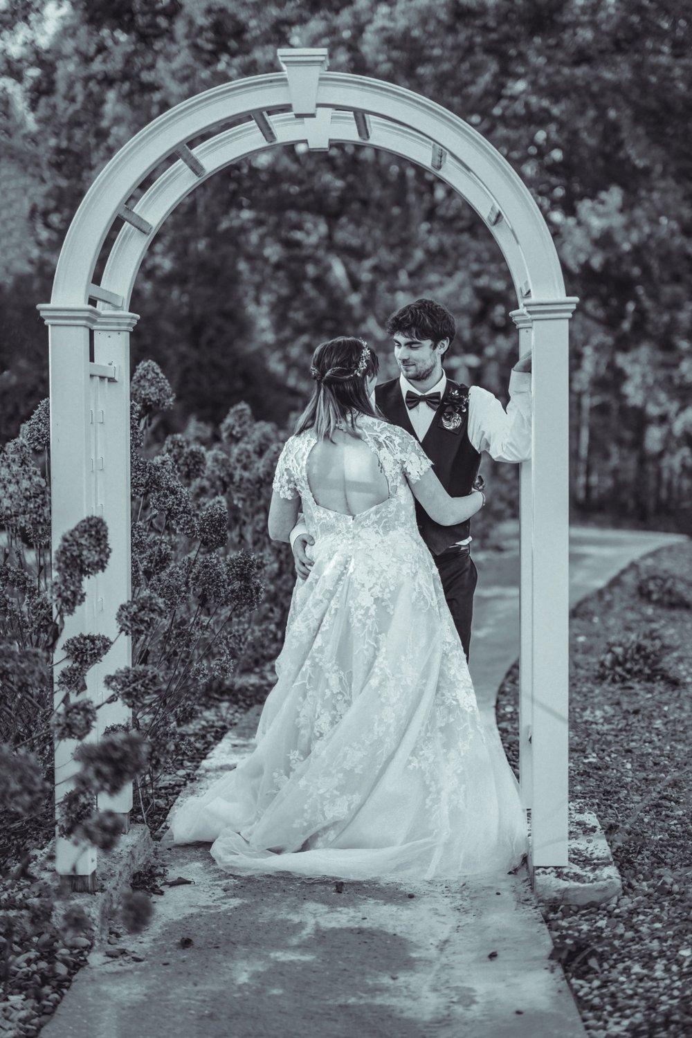 carousel-hero-element image-6