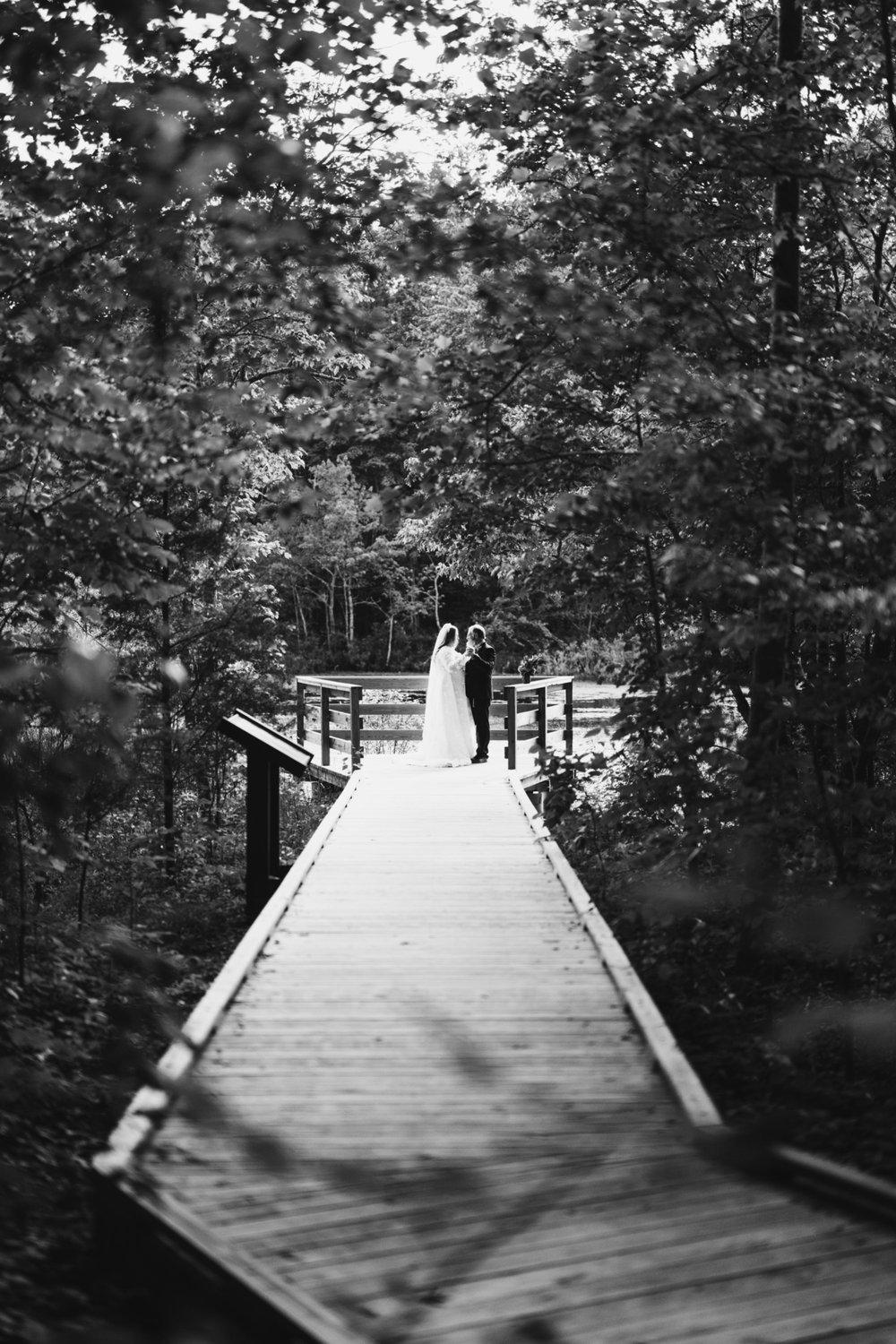 carousel-hero-element image-10