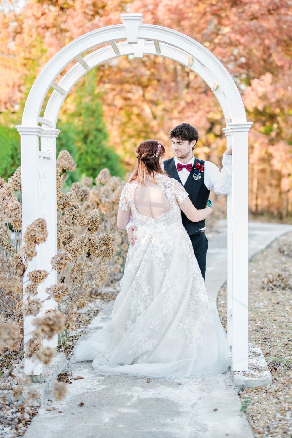 carousel-hero-element image-1